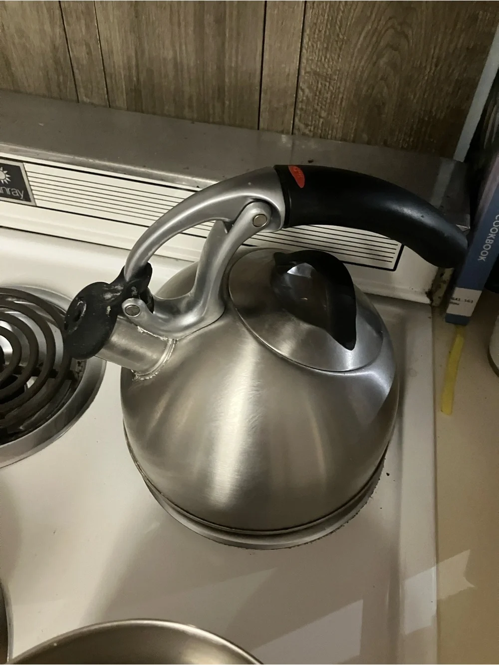 Stainless Steel Whistling Tea Kettle with Black Handle
